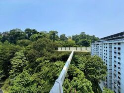 Blk 43 Telok Blangah Rise (Bukit Merah), HDB 3 Rooms #611095181